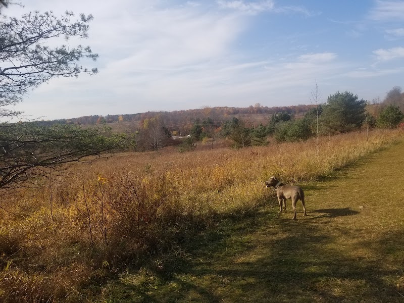 Port Mcnicoll Dog Park dog park in Port McNicoll, Ontario