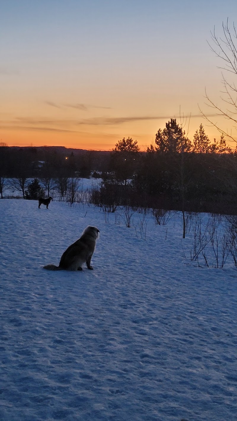 Port Mcnicoll Dog Park dog park in Port McNicoll, Ontario
