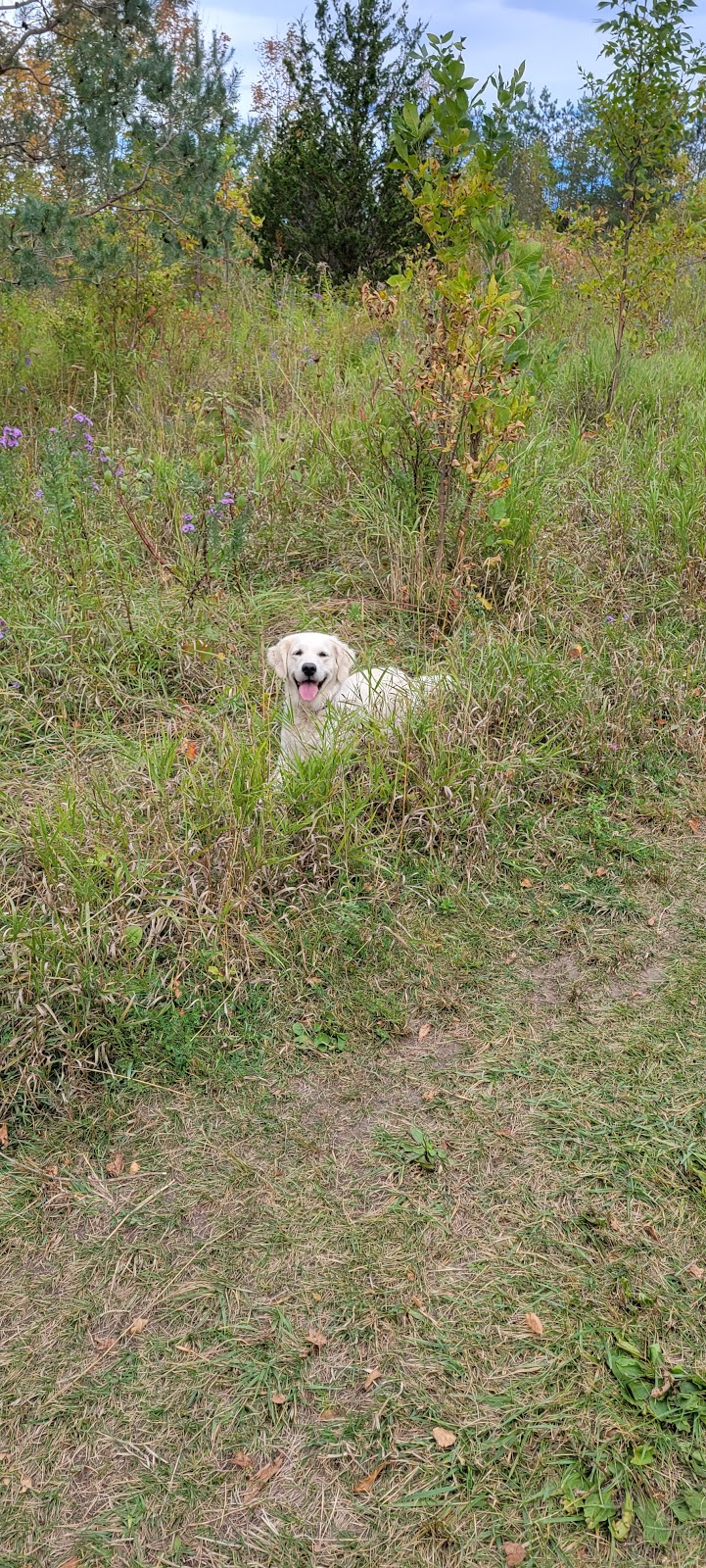 Port Mcnicoll Dog Park dog park in Port McNicoll, Ontario