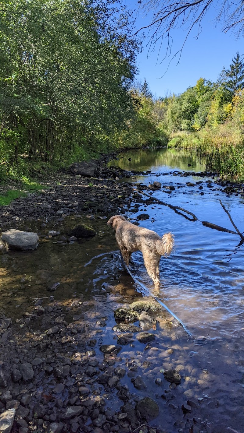 Peterborough Dog Club Off-leash Dog Park dog park in Peterborough, Ontario
