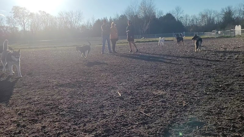 Peterborough Dog Club Off-leash Dog Park dog park in Peterborough, Ontario