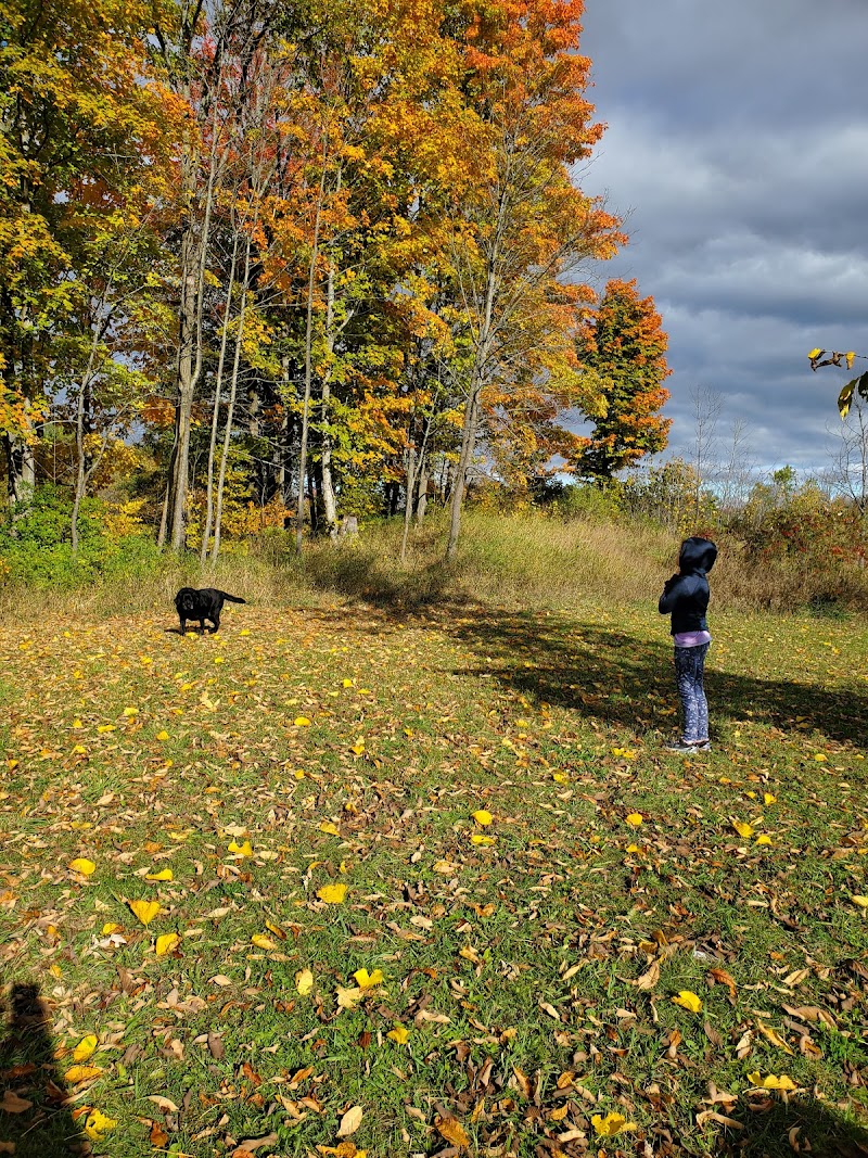 Madoc Off Leash Dog Park dog park in Madoc, Ontario