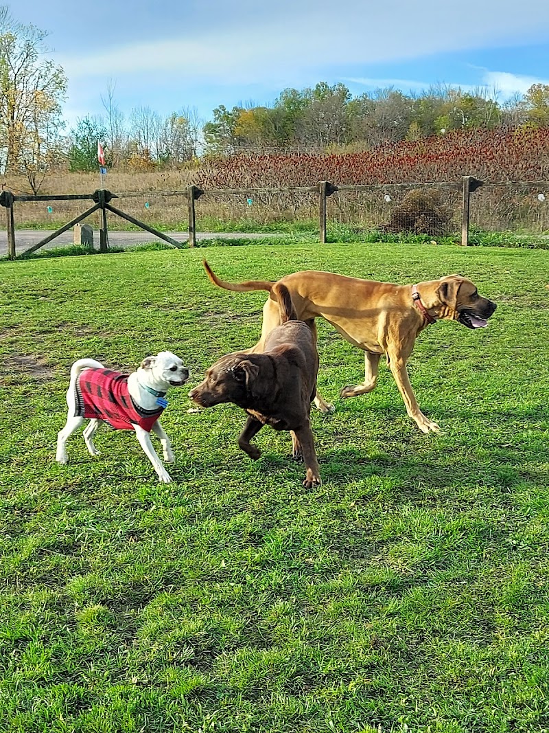 Madoc Off Leash Dog Park dog park in Madoc, Ontario
