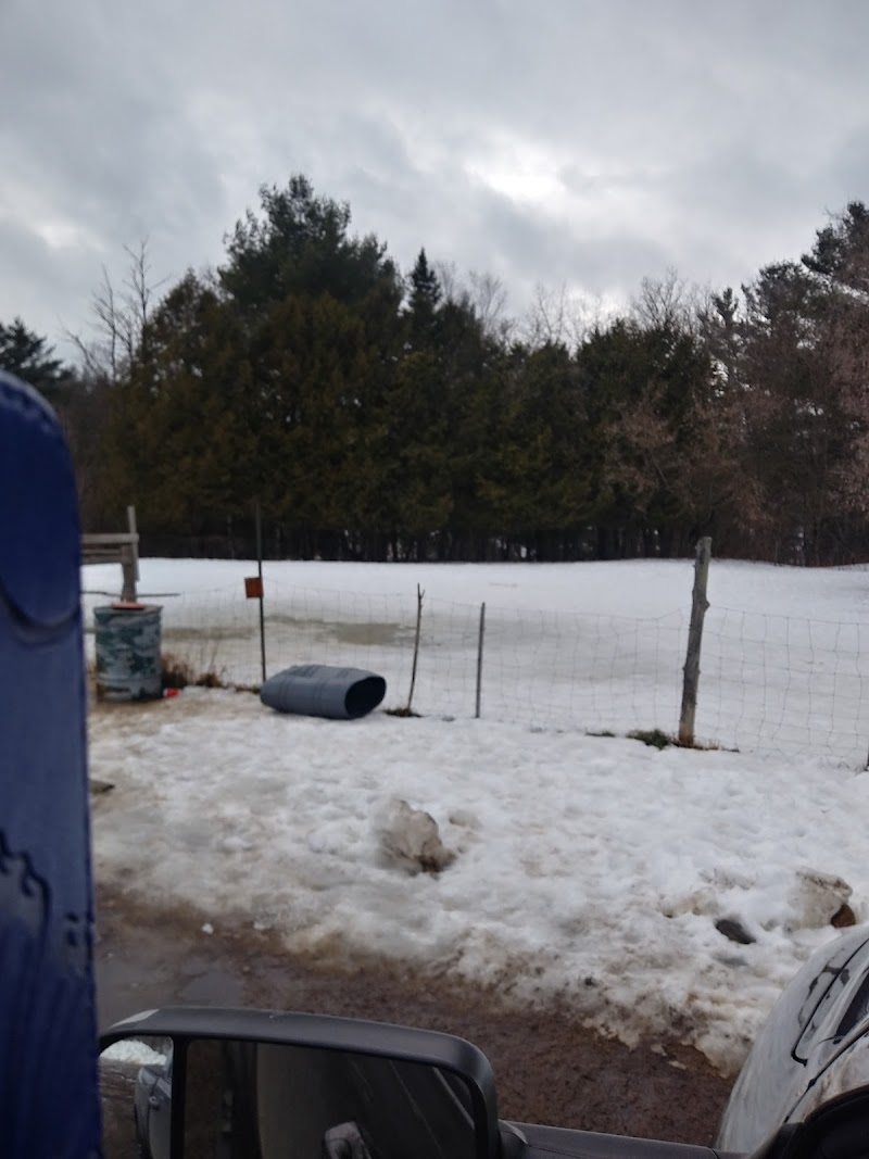 Dog Park dog park in Bancroft, Ontario