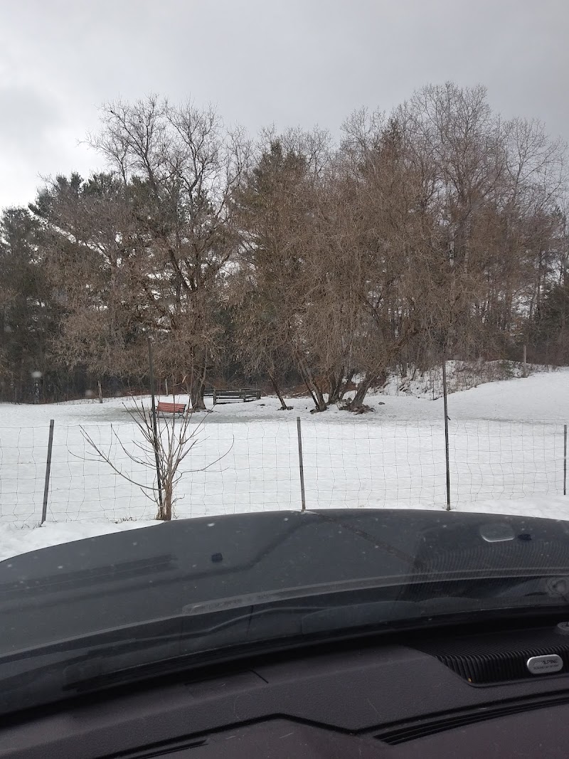 Dog Park dog park in Bancroft, Ontario