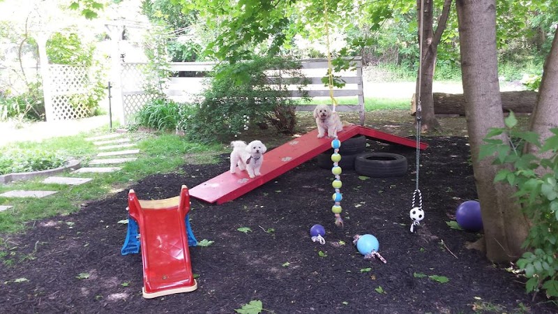 PupVacay dog park in Oshawa, Ontario