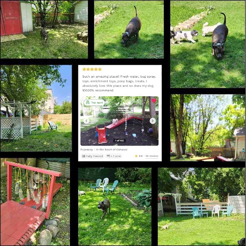 PupVacay dog park in Oshawa, Ontario