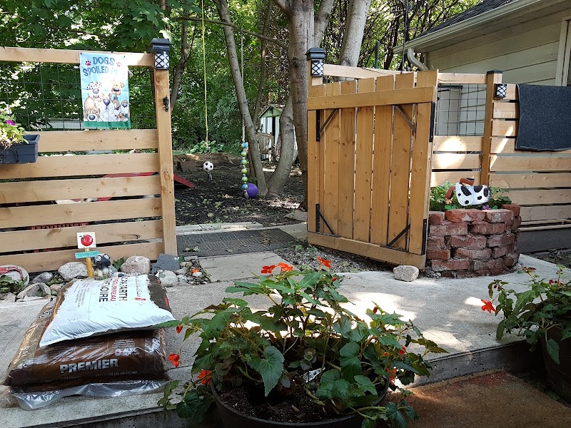 PupVacay dog park in Oshawa, Ontario