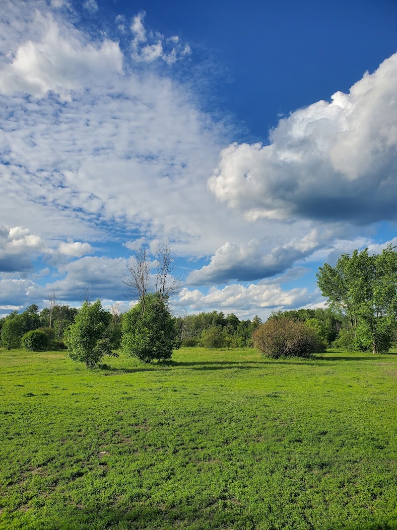 Technologie Dog Park dog park in Gatineau, Quebec