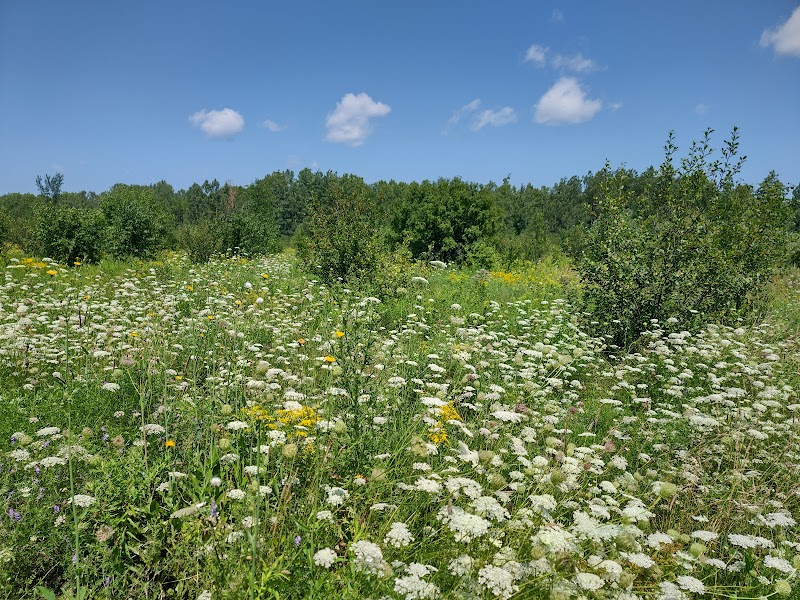 Technologie Dog Park dog park in Gatineau, Quebec