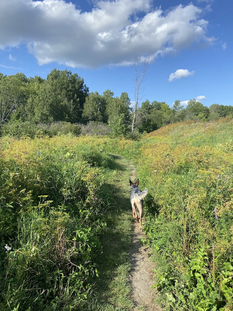 Technologie Dog Park dog park in Gatineau, Quebec