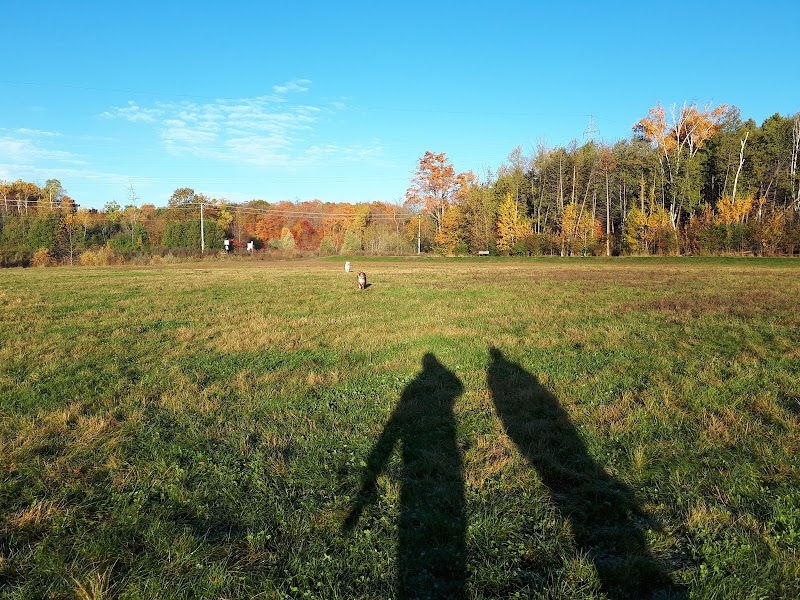 Aylmer Off-Leash Dog Park dog park in Gatineau, Quebec