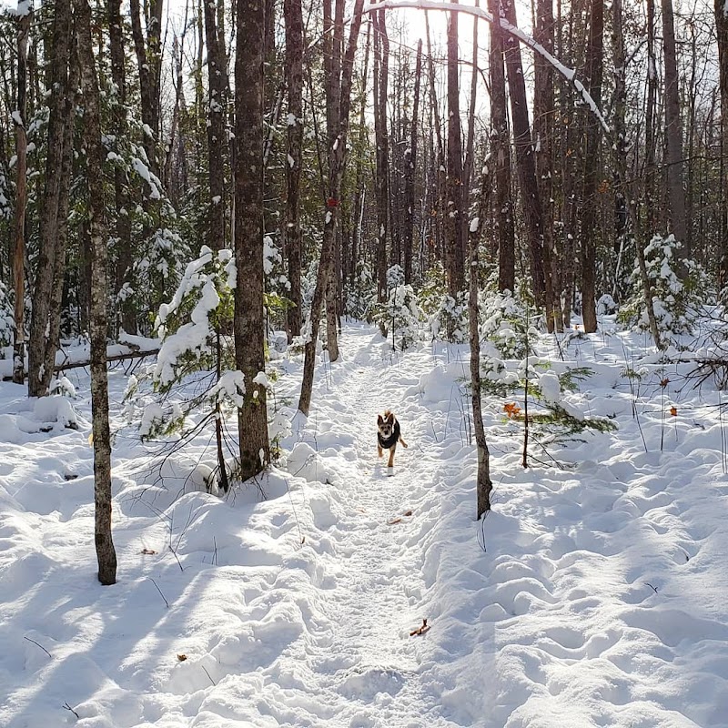 Aylmer Off-Leash Dog Park dog park in Gatineau, Quebec