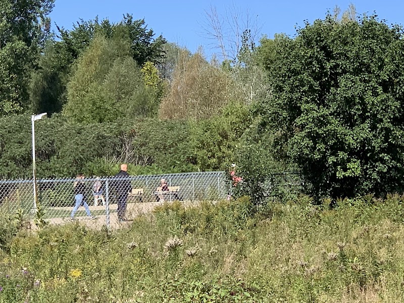 Parc a Chien Allen dog park in Gatineau, Quebec