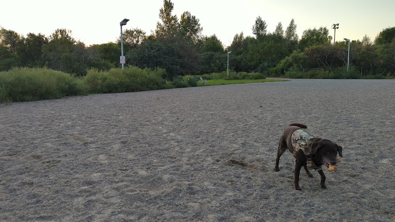 Parc a Chien Allen dog park in Gatineau, Quebec