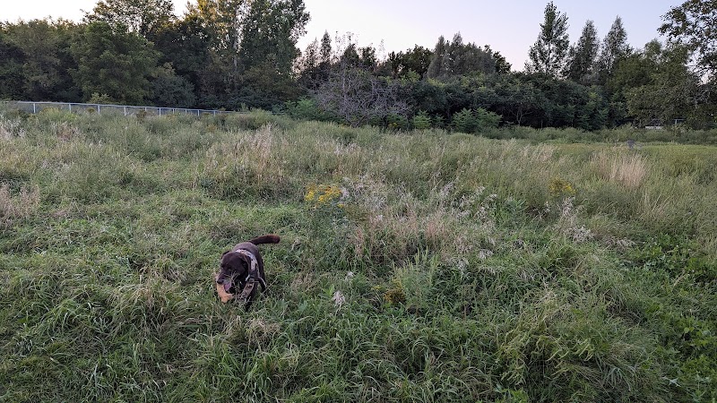 Parc a Chien Allen dog park in Gatineau, Quebec