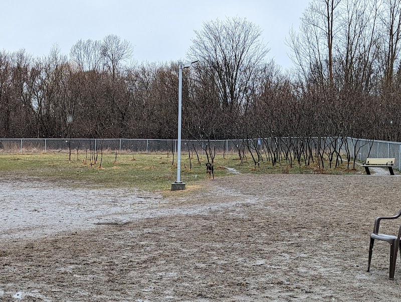 Parc a Chien Allen dog park in Gatineau, Quebec