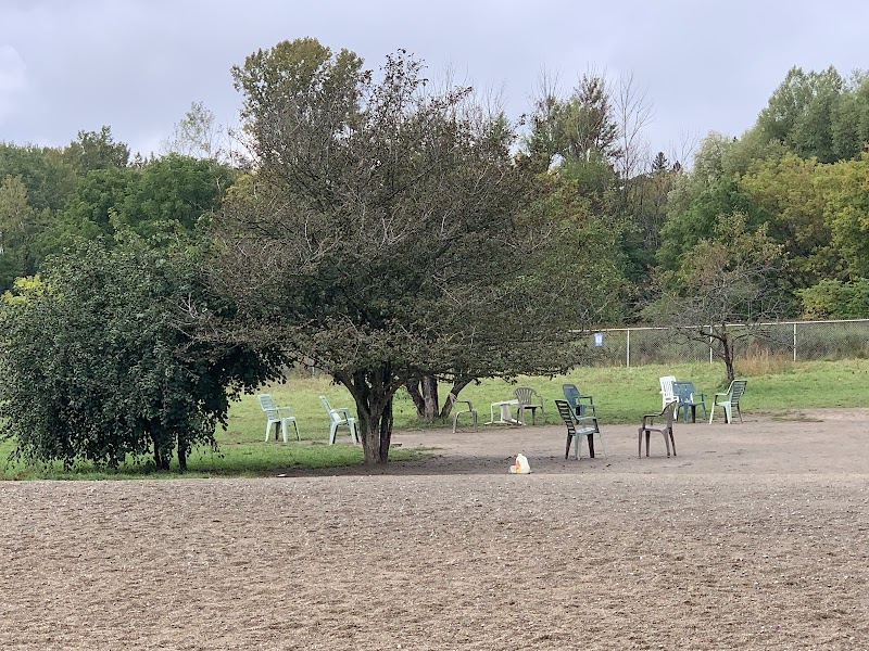 Parc a Chien Allen dog park in Gatineau, Quebec