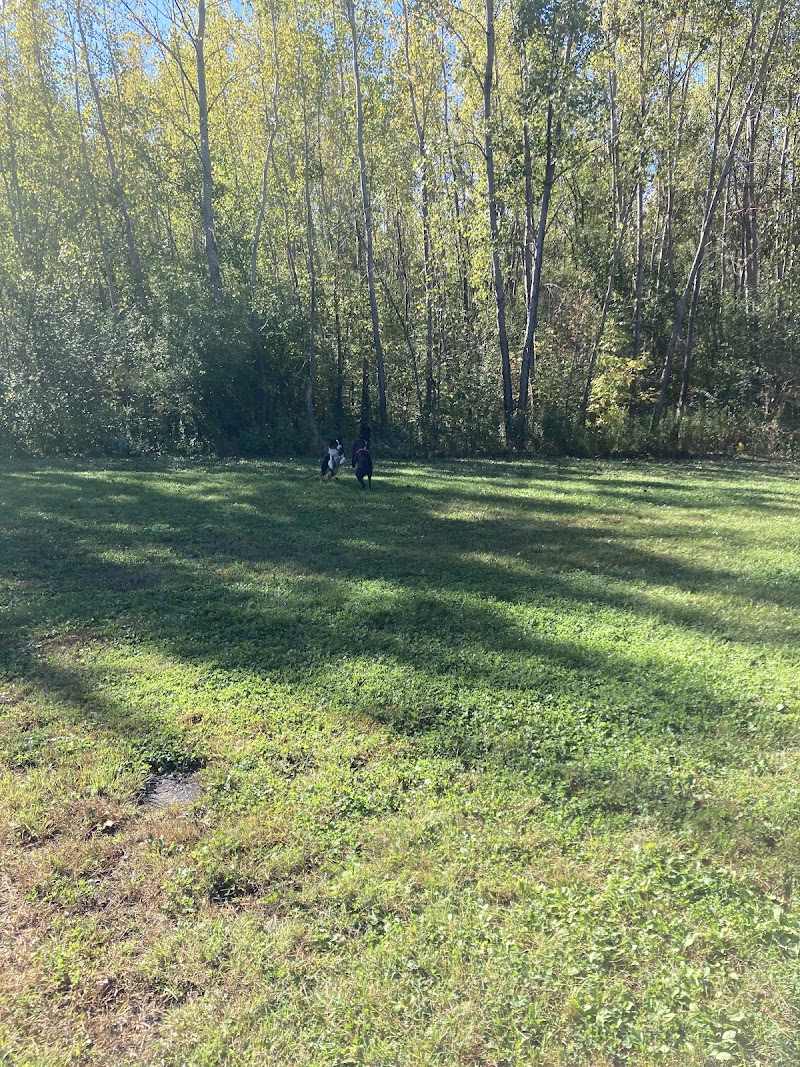 Off-leash dog park dog park in Gatineau, Quebec