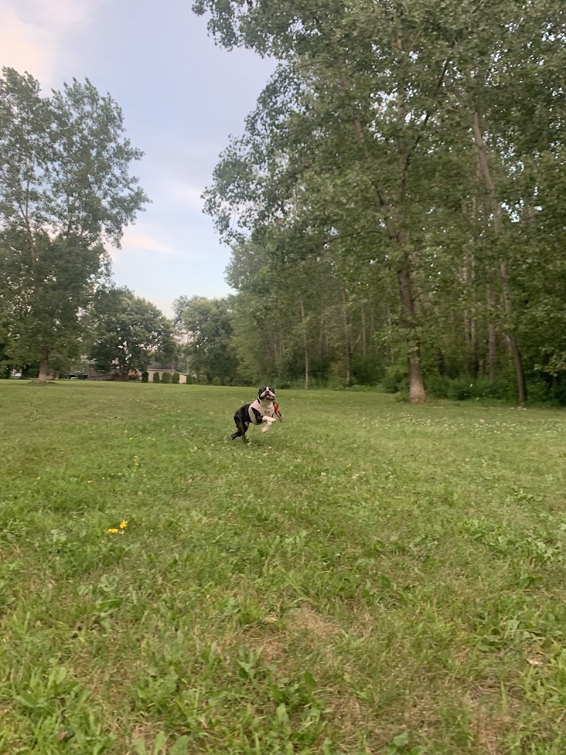 Off-leash dog park dog park in Gatineau, Quebec