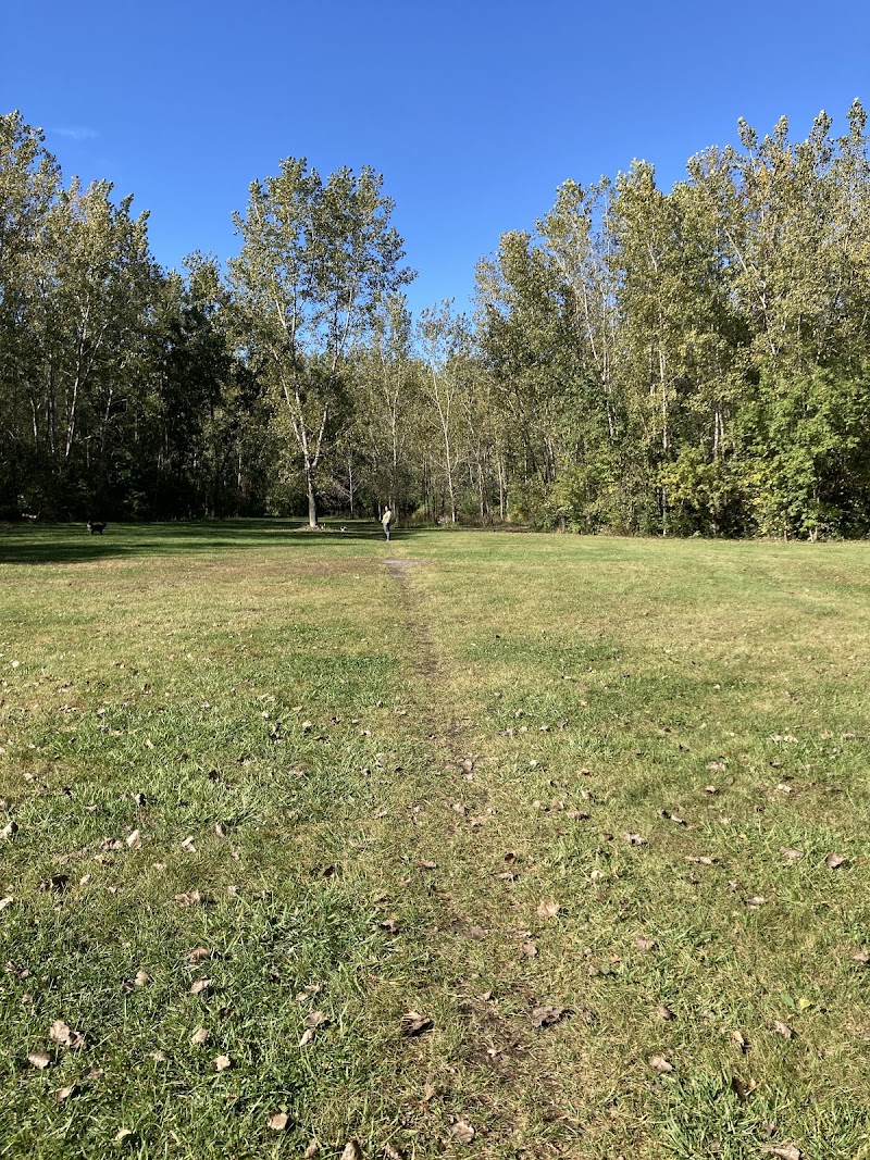 Off-leash dog park dog park in Gatineau, Quebec