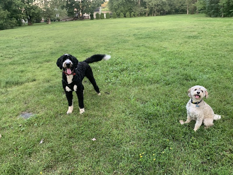 Off-leash dog park dog park in Gatineau, Quebec