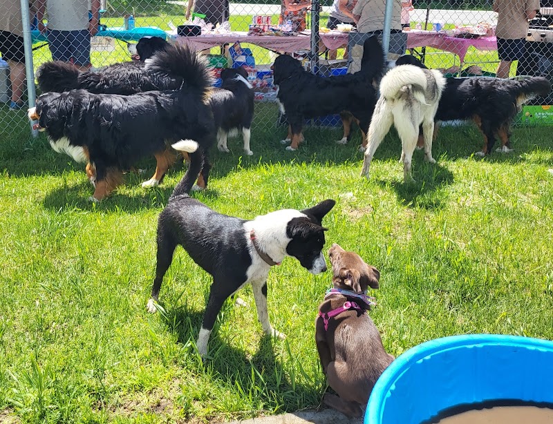 Buckingham Dog Park dog park in Gatineau, Quebec
