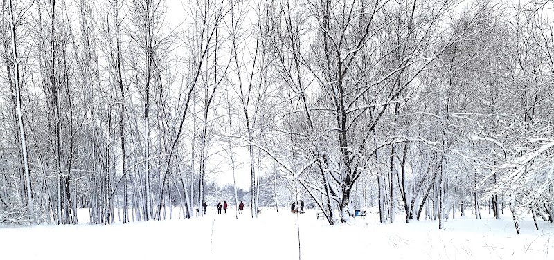 Parc canin St-René dog park in Gatineau, Quebec