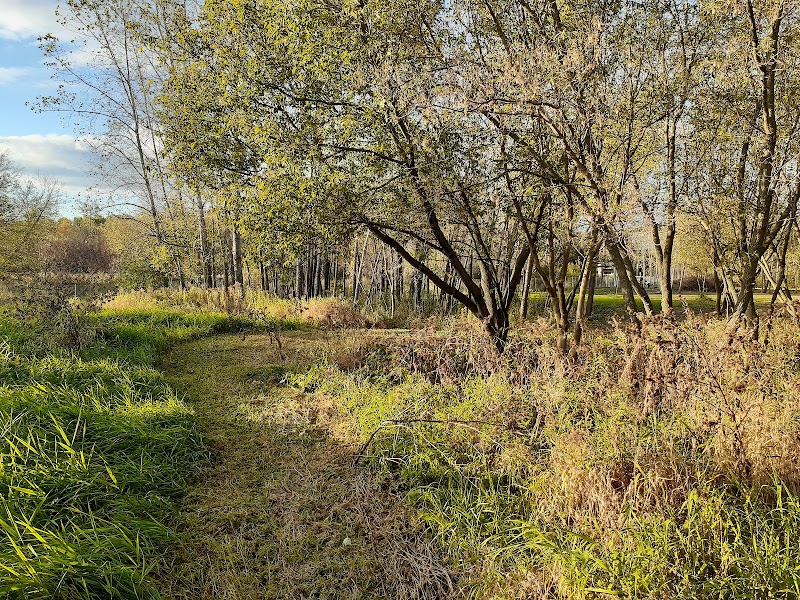 Parc canin St-René dog park in Gatineau, Quebec