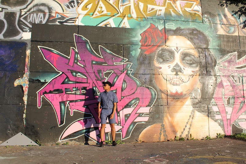 Tech Wall Dog Park dog park in Ottawa, Ontario