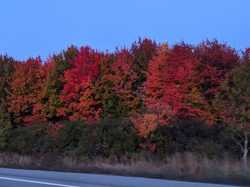 Parc Canin Lamarche dog park in Gatineau, Quebec