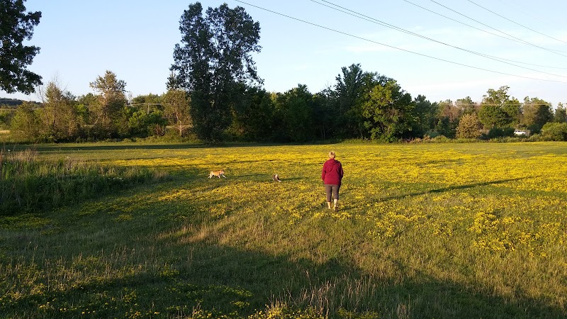 Parc Canin Lamarche dog park in Gatineau, Quebec