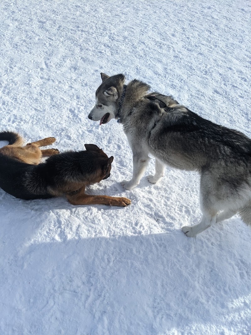 Hampton Park (Dog Park) dog park in Ottawa, Ontario