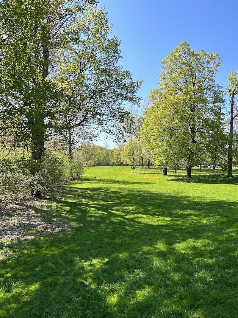 Hampton Park (Dog Park) dog park in Ottawa, Ontario