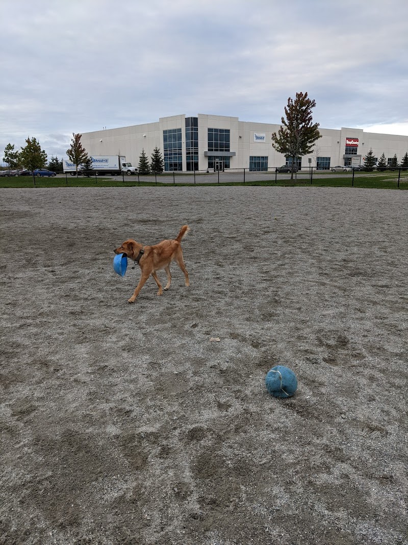 Shefford Road Dog Park dog park in Ottawa, Ontario