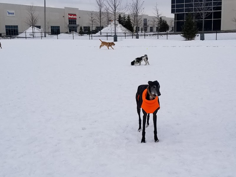 Shefford Road Dog Park dog park in Ottawa, Ontario