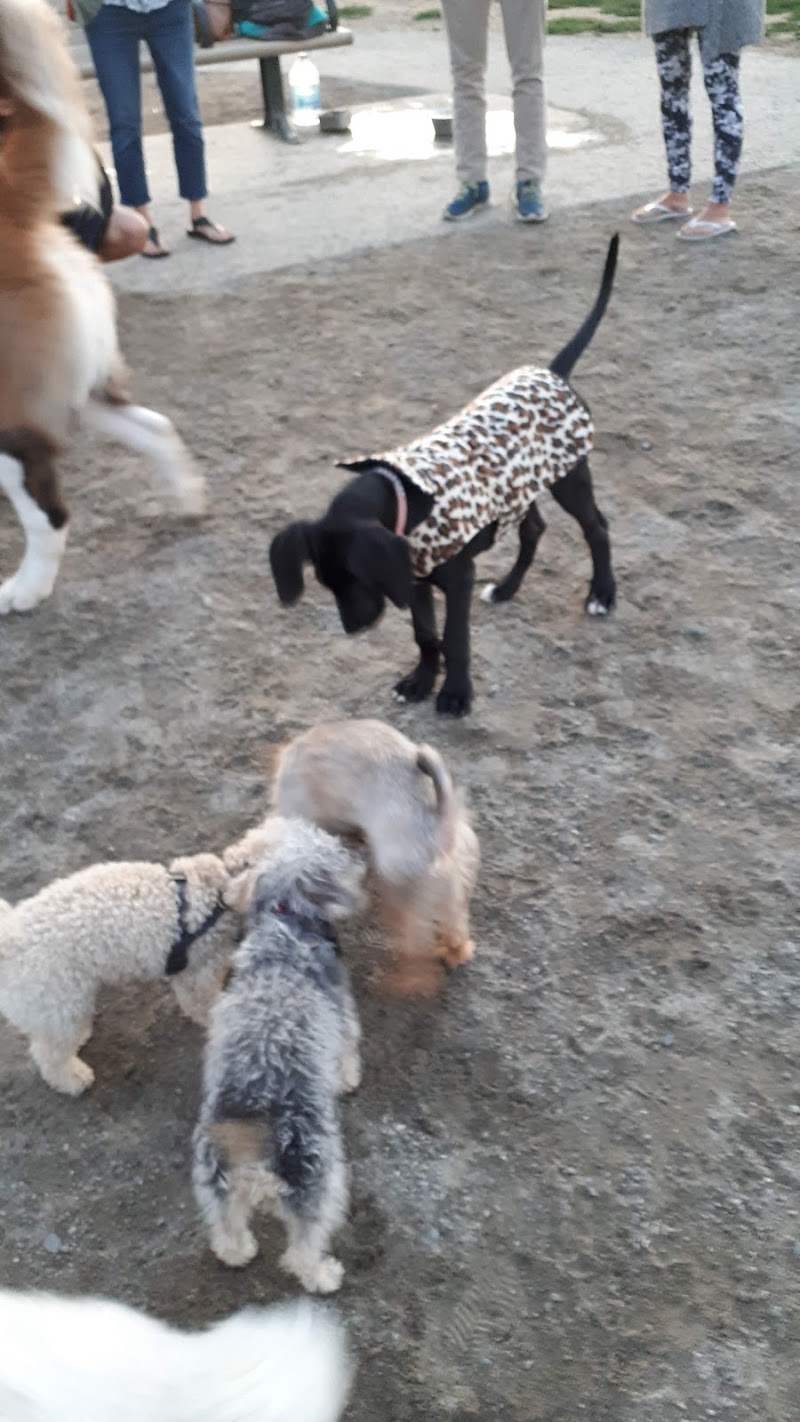 Shefford Road Dog Park dog park in Ottawa, Ontario