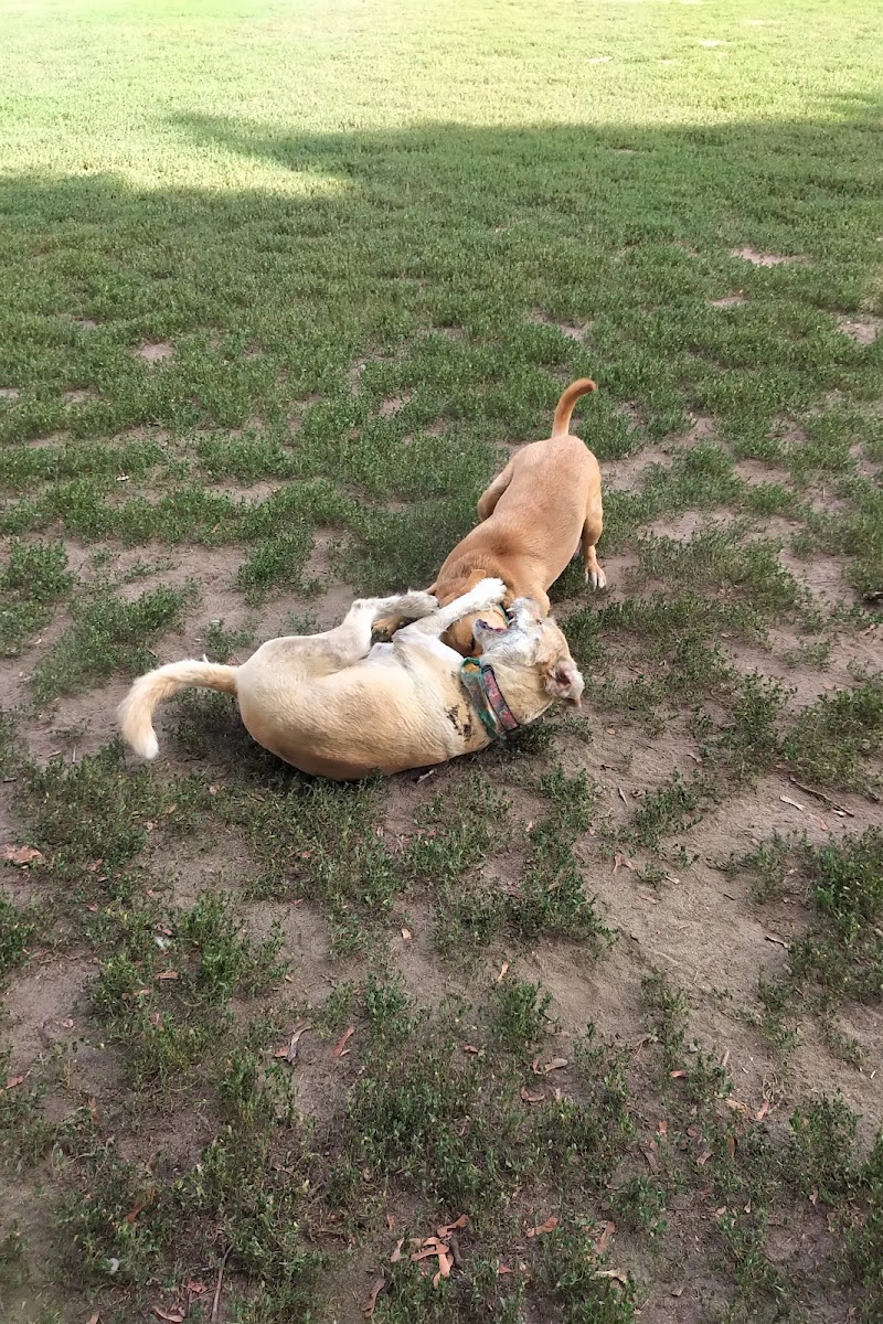 McNabb Dog Park dog park in Ottawa, Ontario