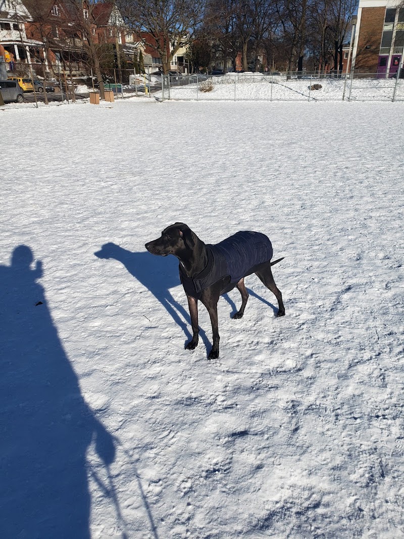 McNabb Dog Park dog park in Ottawa, Ontario