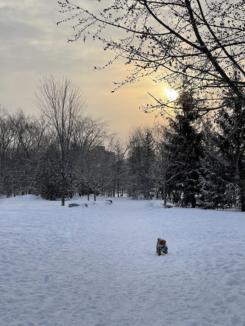 Stanley Dog Park dog park in Ottawa, Ontario