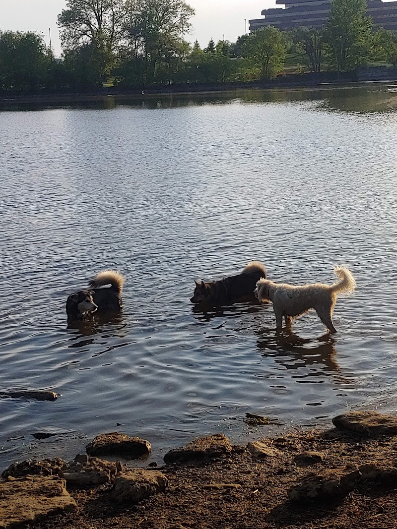 Stanley Dog Park dog park in Ottawa, Ontario