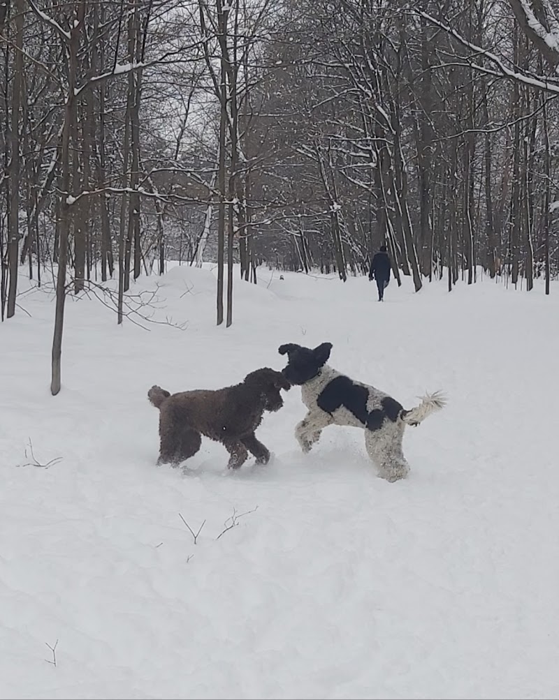 Rockcliffe Park Dog Park dog park in Rockcliffe Park, Ontario