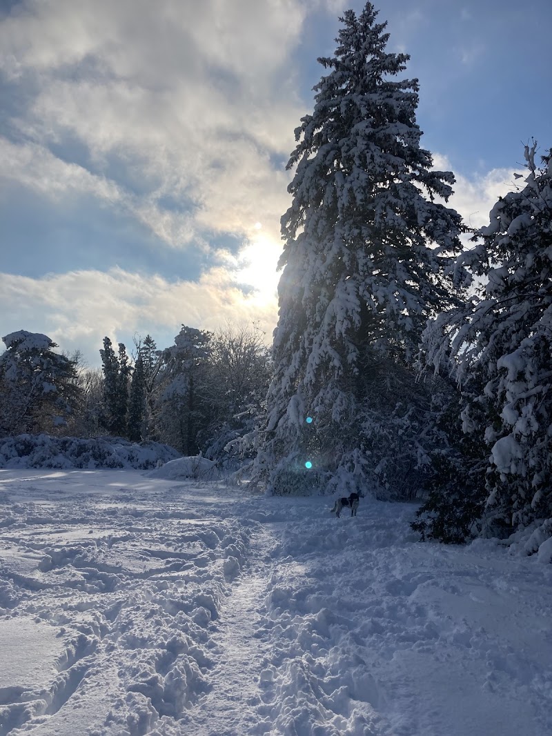 Rockcliffe Park Dog Park dog park in Rockcliffe Park, Ontario