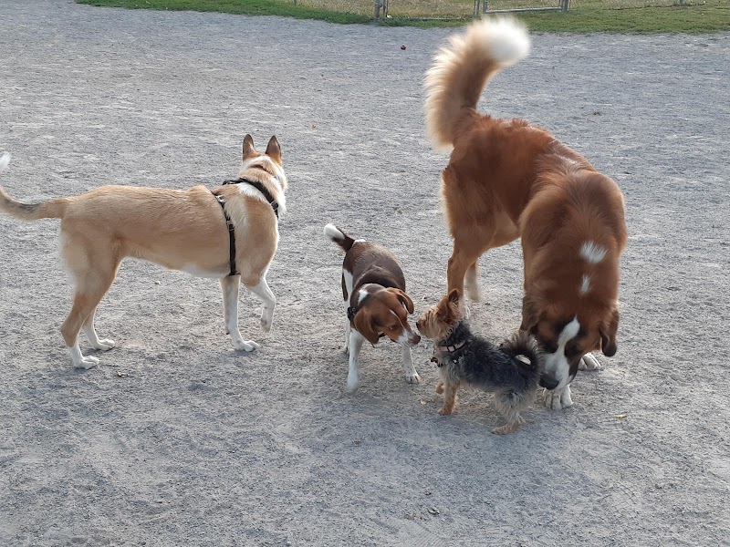 Sylvia Holden Dog Park dog park in Ottawa, Ontario
