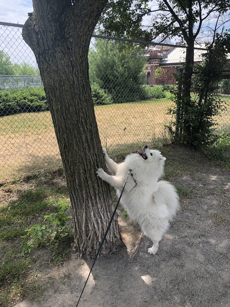 Sylvia Holden Dog Park dog park in Ottawa, Ontario