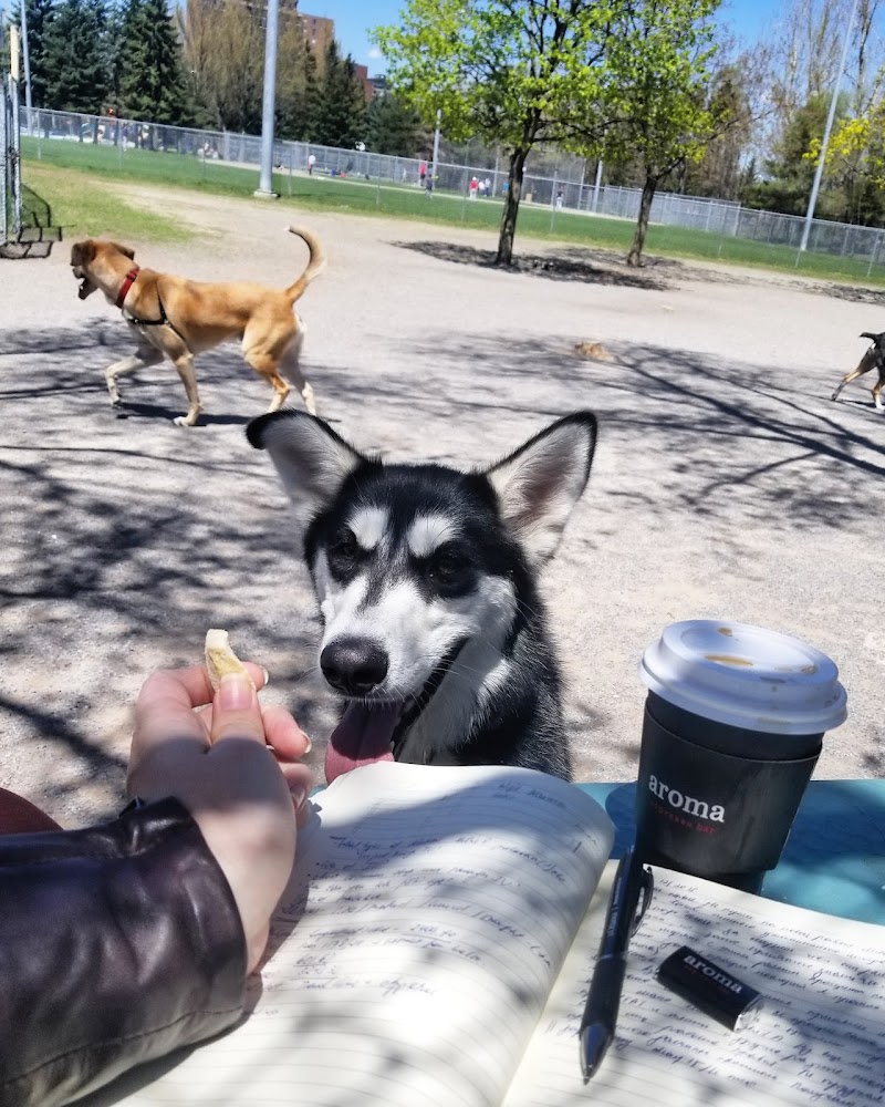 Sylvia Holden Dog Park dog park in Ottawa, Ontario