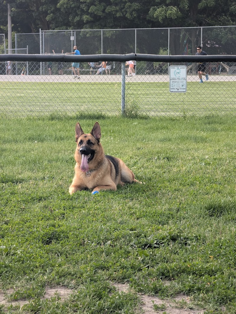 Riverain Fenced Dog Park dog park in Vanier, Ontario
