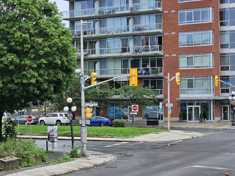 Dog Island dog park in Ottawa, Ontario