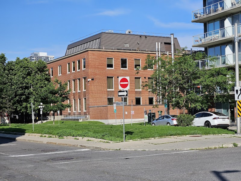 Dog Island dog park in Ottawa, Ontario