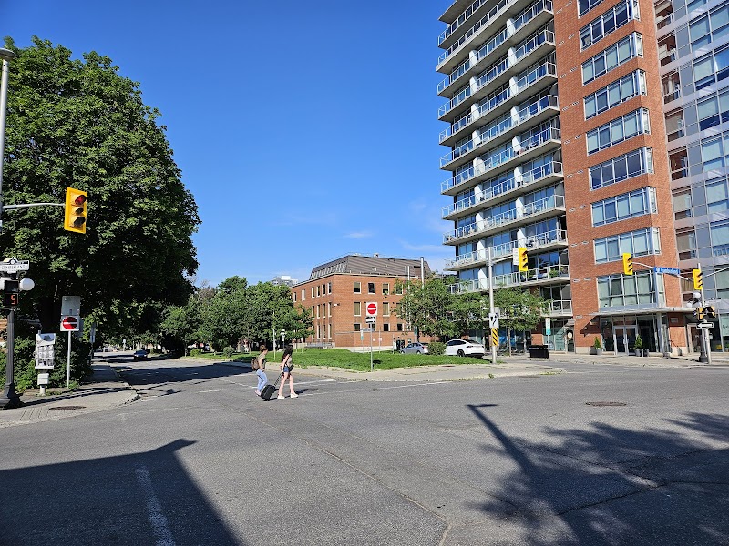 Dog Island dog park in Ottawa, Ontario